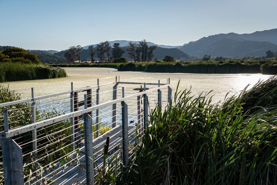 Picturesque view of a metal jetty at a calm lake during summer, surrounded by lush reeds and distant mountains.