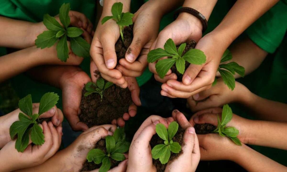 Participación Ciudadana Ambiental